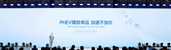 獨家｜對話楊紅新：蜂巢能源2024年如何“破卷”？