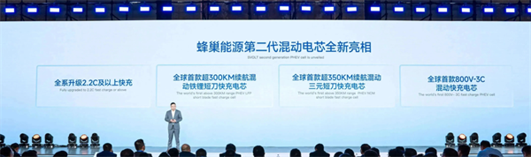 獨家｜對話楊紅新：蜂巢能源2024年如何“破卷”？